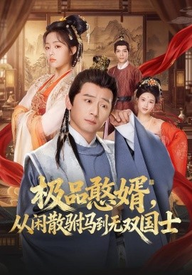 憨婿 海报 高清在线观看