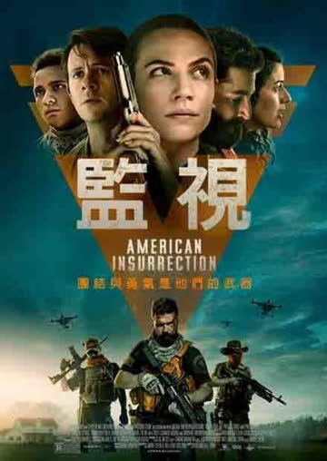 美国起义 海报 高清在线观看