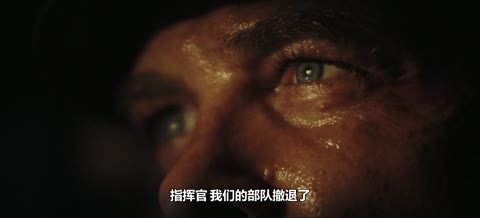猛虎末路 在线观看