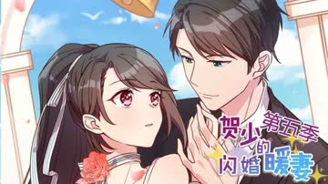 贺少的闪婚暖妻第5季 海报 高清在线观看