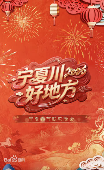 宁夏卫视春节联欢晚会2026 海报 高清在线观看