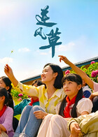 逆风草 海报 高清在线观看