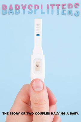 亲爱的造人啦 Babysplitters 海报 高清在线观看