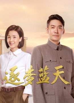 逐梦蓝天 海报 高清在线观看