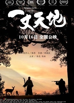 一丈天地 海报 高清在线观看