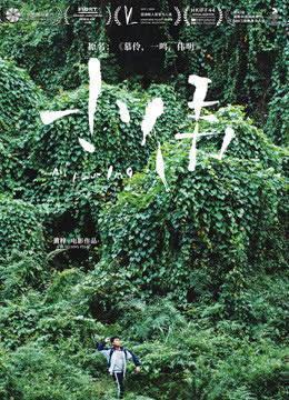 小伟 海报 高清在线观看