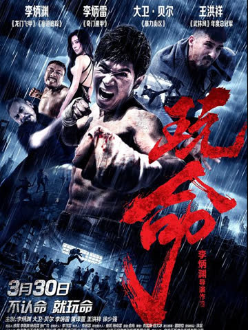 玩命 海报 高清在线观看