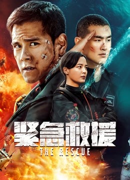 紧急救援 海报 高清在线观看