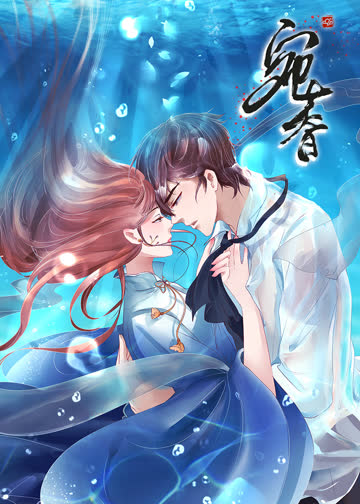 宛香·动态漫 海报 高清在线观看
