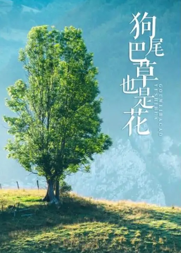 狗尾巴草也是花 海报 高清在线观看
