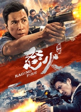 怒火·重案 海报 高清在线观看