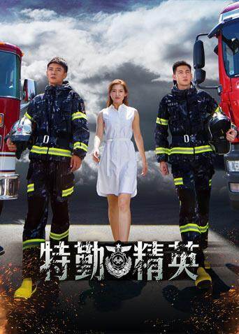 特勤精英 海报 高清在线观看