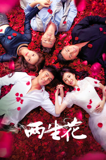 两生花 海报 高清在线观看