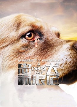 忠犬流浪记 海报 高清在线观看