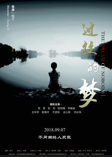 过往的梦 海报 高清在线观看