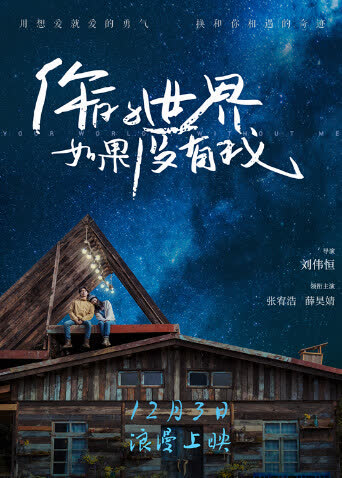 你的世界如果没有我 海报 高清在线观看