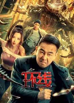环线 海报 高清在线观看