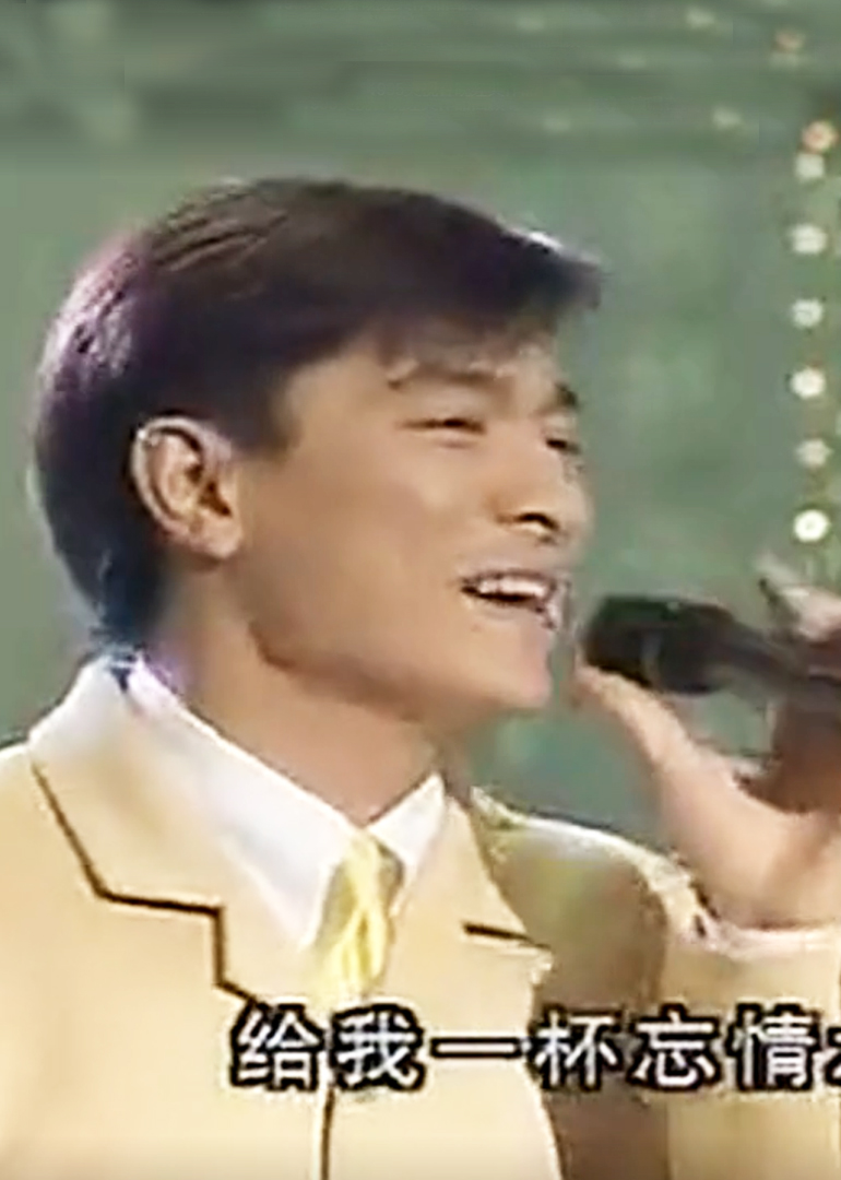 1995央视春晚 海报 高清在线观看