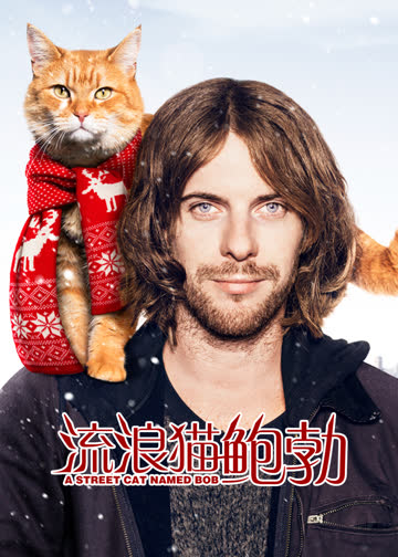 流浪猫鲍勃 海报 高清在线观看