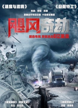 飓风奇劫 海报 高清在线观看