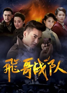 飞哥战队 海报 高清在线观看