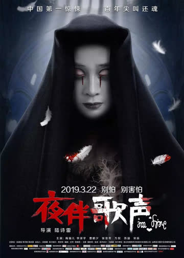 夜伴歌声 海报 高清在线观看