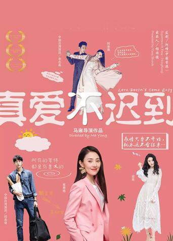 真爱不迟到 海报 高清在线观看