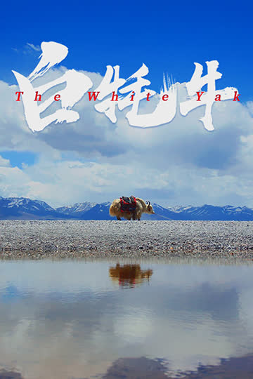 白牦牛 海报 高清在线观看