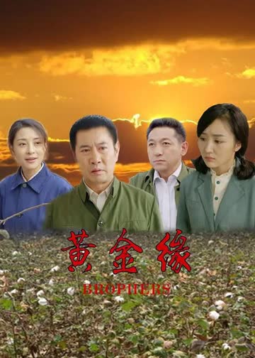 黄金缘 海报 高清在线观看