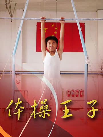 体操王子 海报 高清在线观看