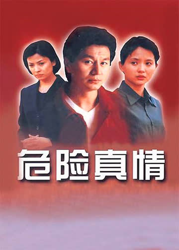 危险真情 海报 高清在线观看