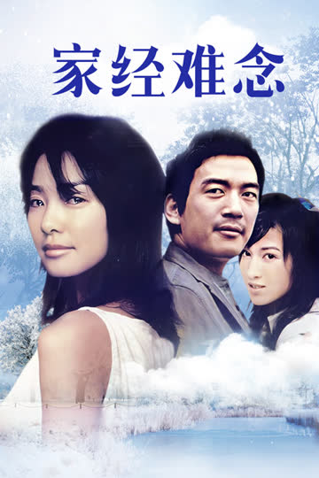 家经难念 海报 高清在线观看