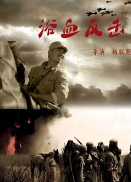 浴血反击 海报 高清在线观看
