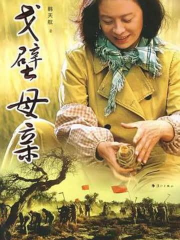 戈壁母亲 海报 高清在线观看