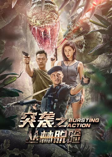 突袭之丛林脱险 海报 高清在线观看