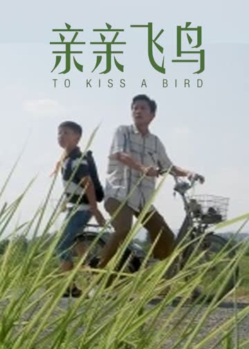 亲亲飞鸟 海报 高清在线观看