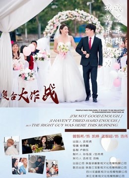复合大作战 海报 高清在线观看