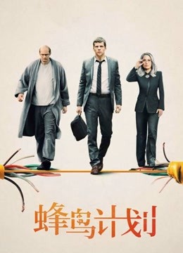蜂鸟计划 海报 高清在线观看