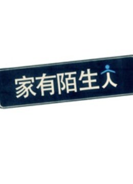 家有陌生人 海报 高清在线观看