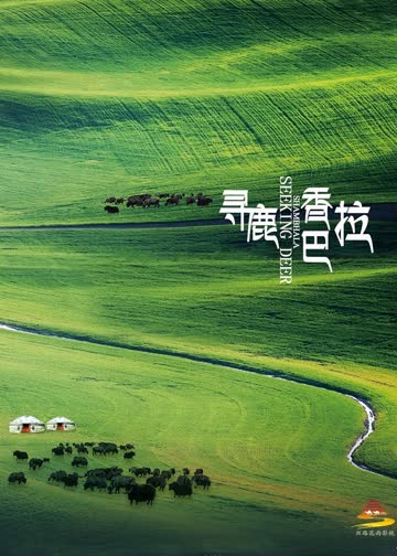 寻鹿香巴拉 海报 高清在线观看