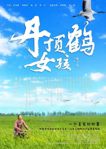 丹顶鹤女孩 海报 高清在线观看