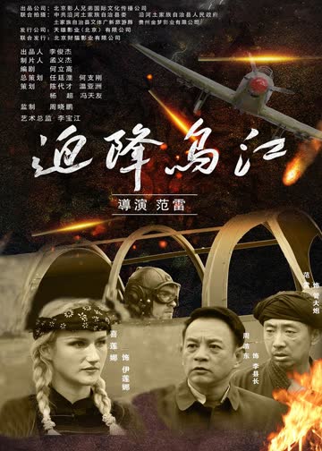 迫降乌江 海报 高清在线观看