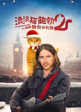 流浪猫鲍勃2：鲍勃的礼物 海报 高清在线观看