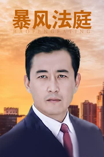 暴风法庭 海报 高清在线观看