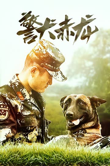 警犬赤龙 海报 高清在线观看