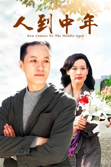 人到中年 海报 高清在线观看
