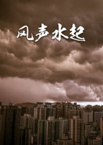 风生水起 海报 高清在线观看