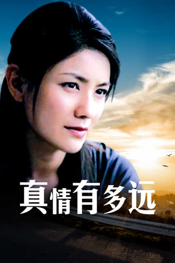 真情有多远 海报 高清在线观看