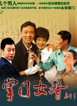 掌门女婿 海报 高清在线观看