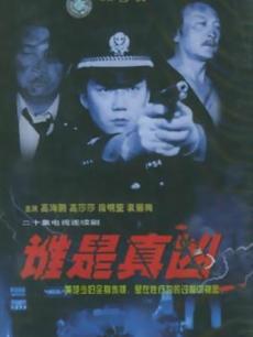 谁是真凶 海报 高清在线观看